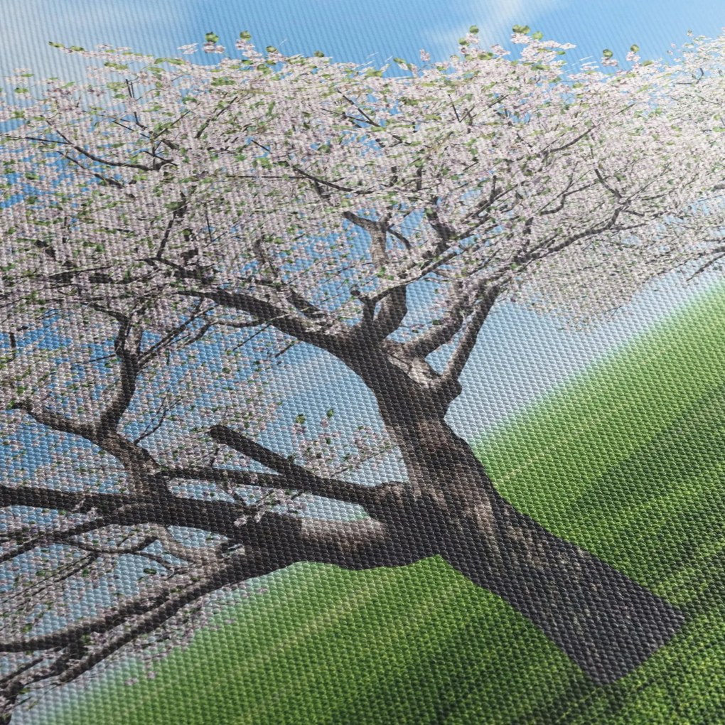 Obraz drzew (z zegarem) (90x30 cm)