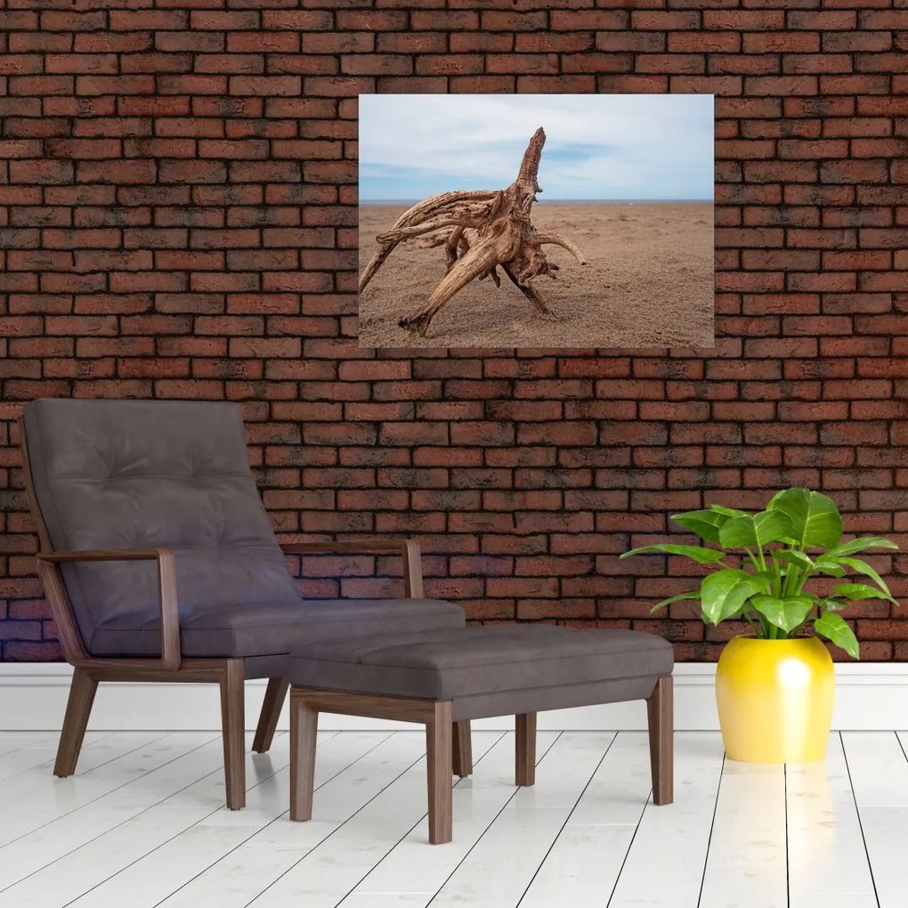Obraz na szkle - Zmyte przez morze (70x50 cm)