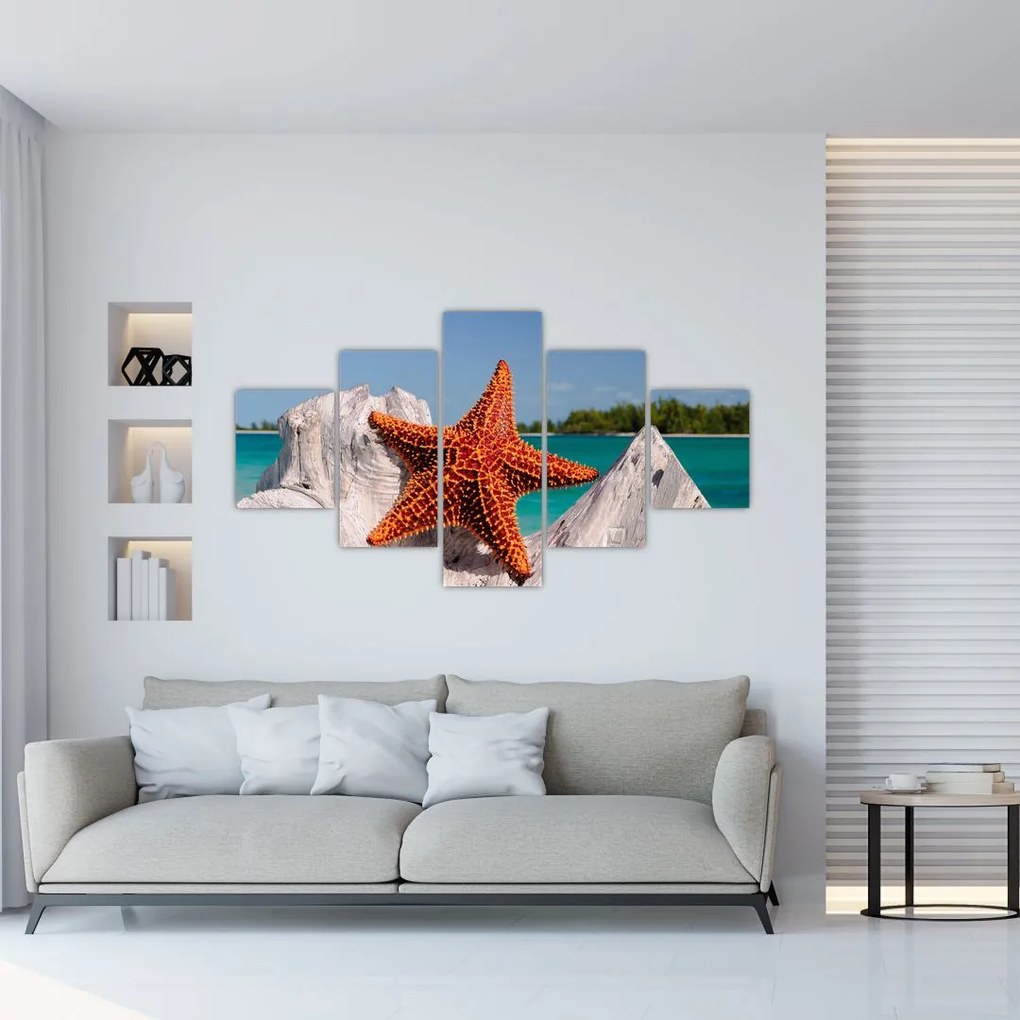 Obraz rozgwiazdy (125x70 cm)