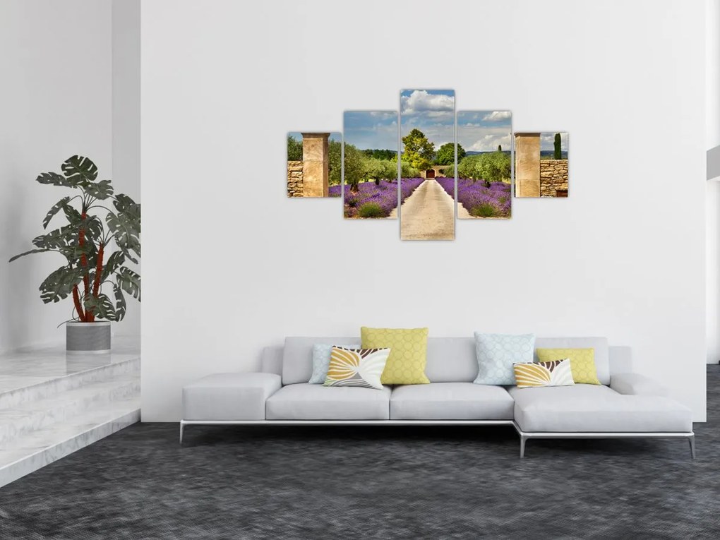 Obraz - Lawendowe ścieżki (125x70 cm)