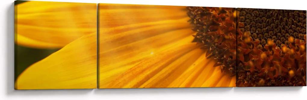 Obraz - Słoneczniki (170x50 cm)