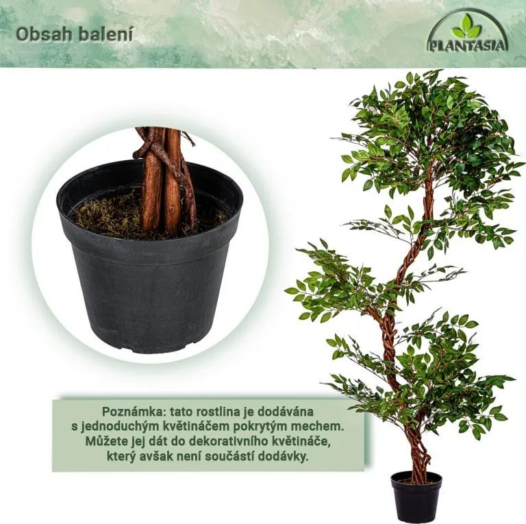 PLANTASIA Sztuczne drzewo yerlin, 160 cm