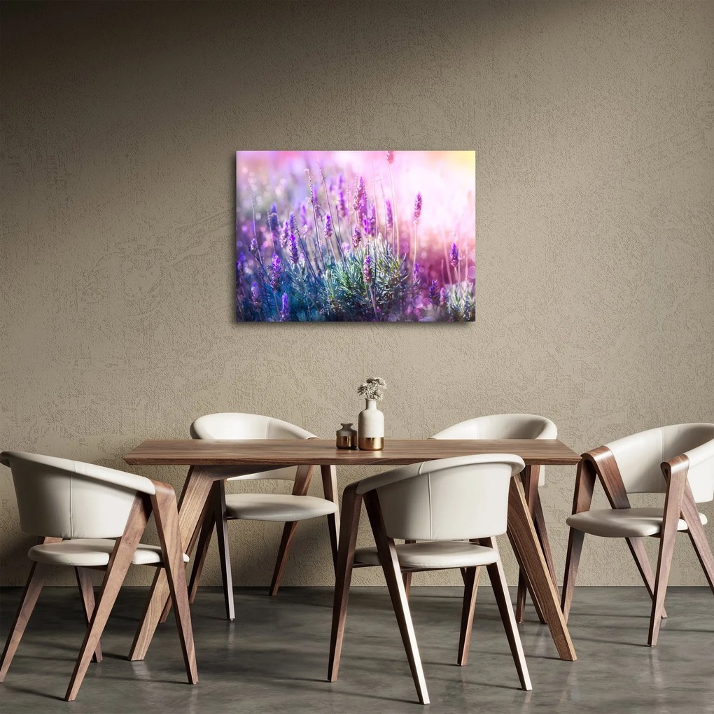 Obraz - Lawenda w słońcu (70x50 cm)