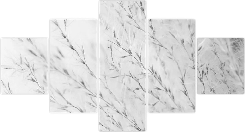 Obraz - Trawa pampasowa N⁰2 (125x70 cm)