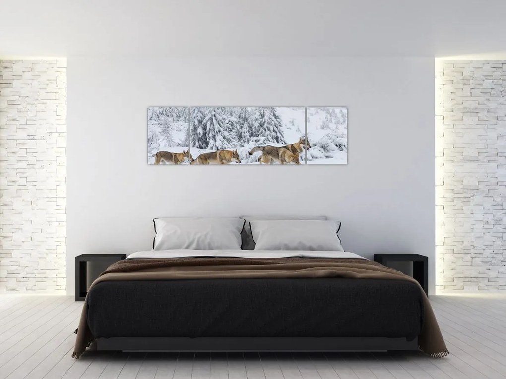 Obraz - Wilki w górach (170x50 cm)