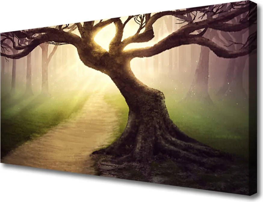 Obraz canvas na ścianę Promienie Słońca w Koronie Drzewa