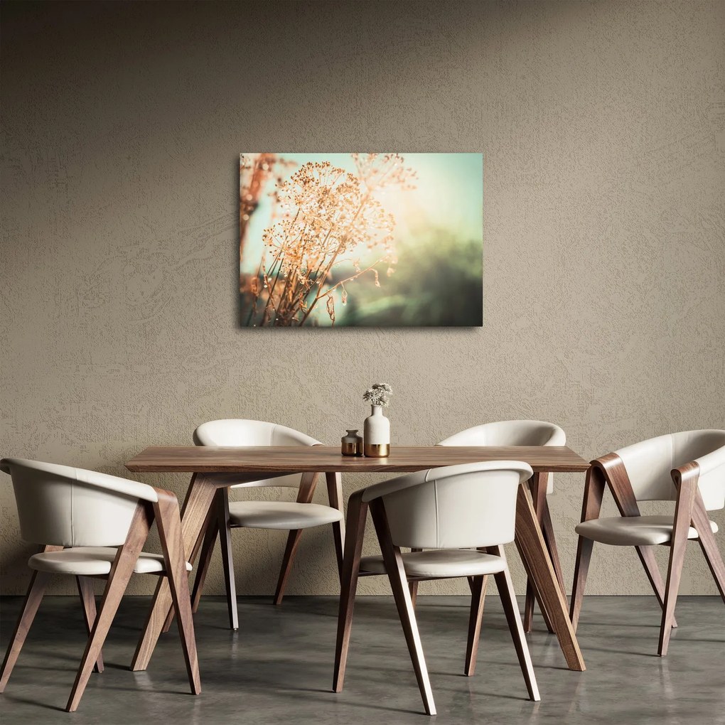 Obraz - Rośliny po deszczu (70x50 cm)