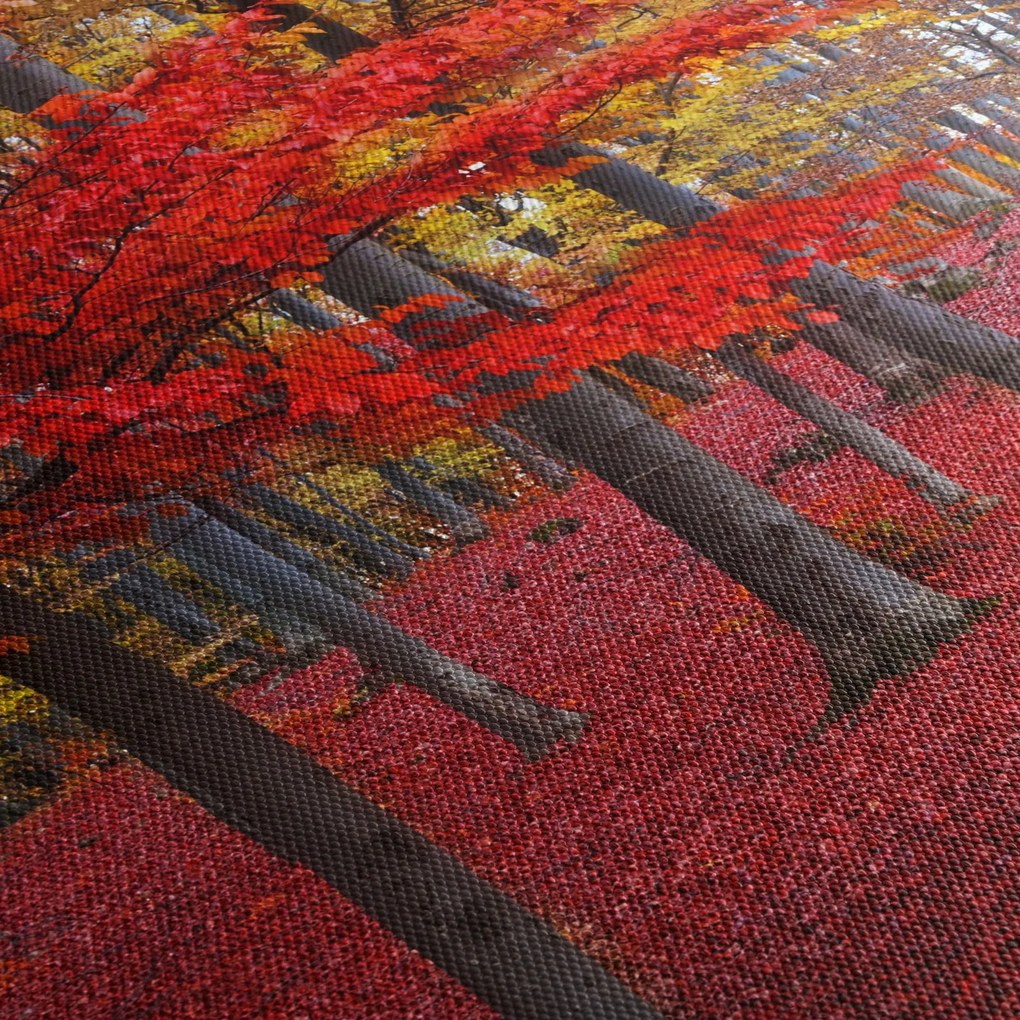 Obraz - Czerwony Las (170x50 cm)