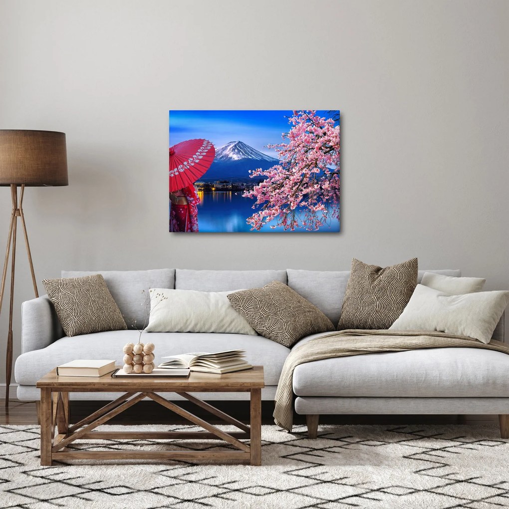 Obraz - Widok na szczyt, Japonia (70x50 cm)