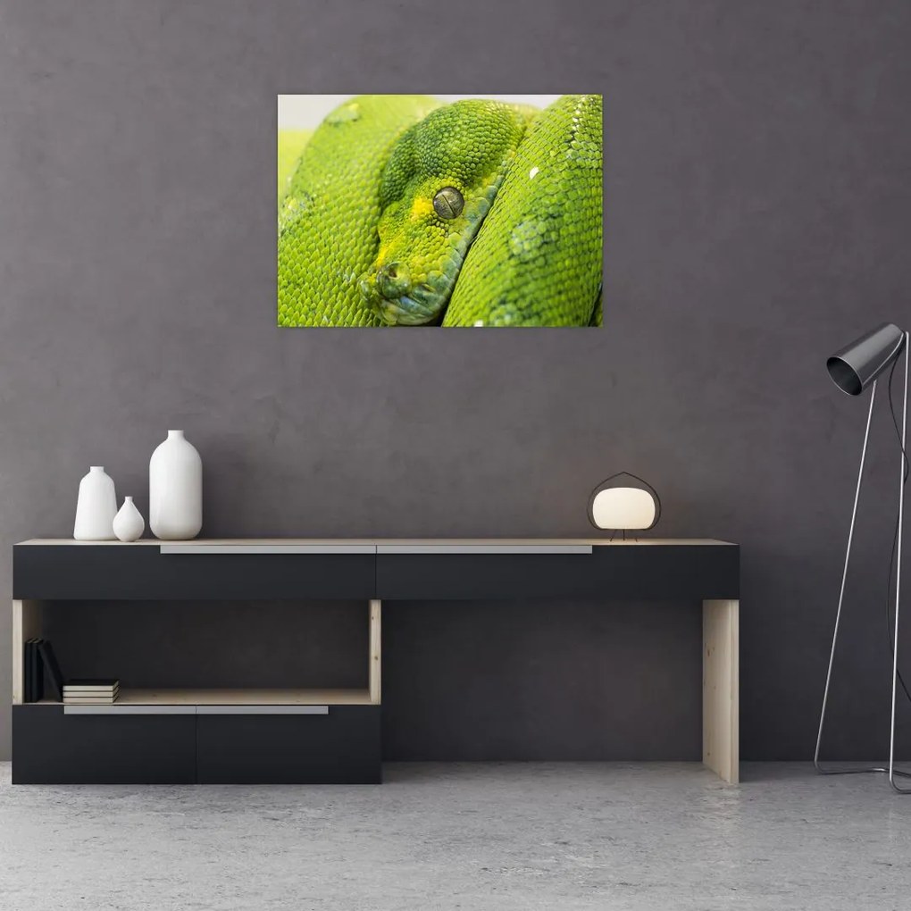 Obraz na szkle węża (70x50 cm)