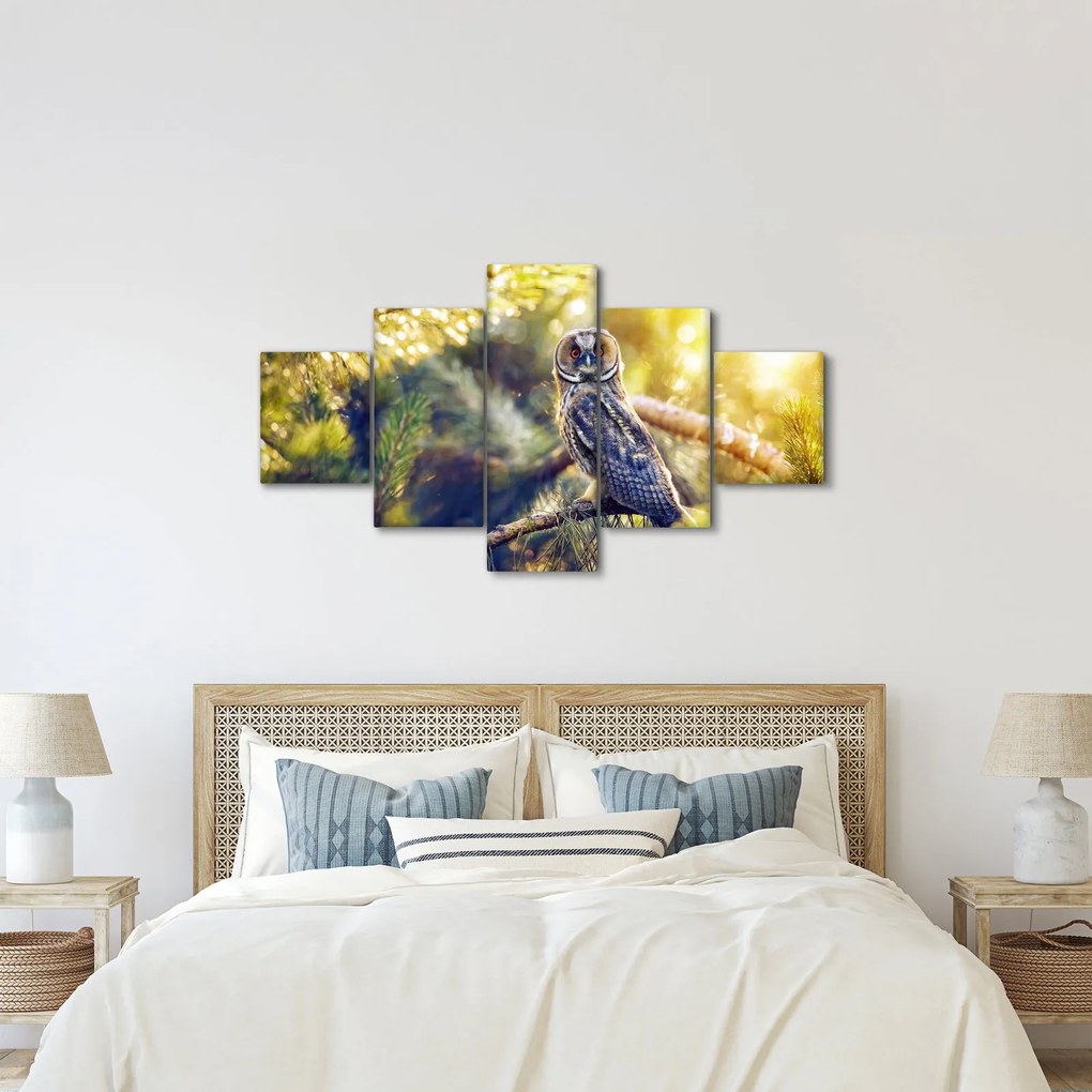 Obraz sowy na drzewie (125x70 cm)