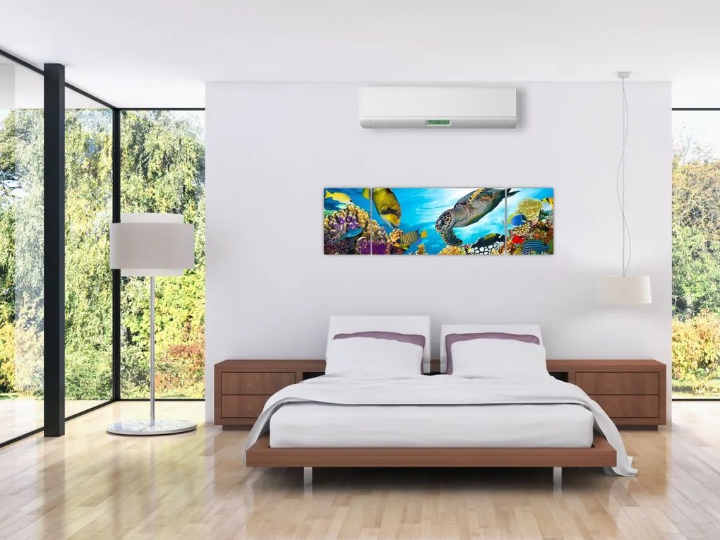 Obraz rafy koralowej (170x50 cm)