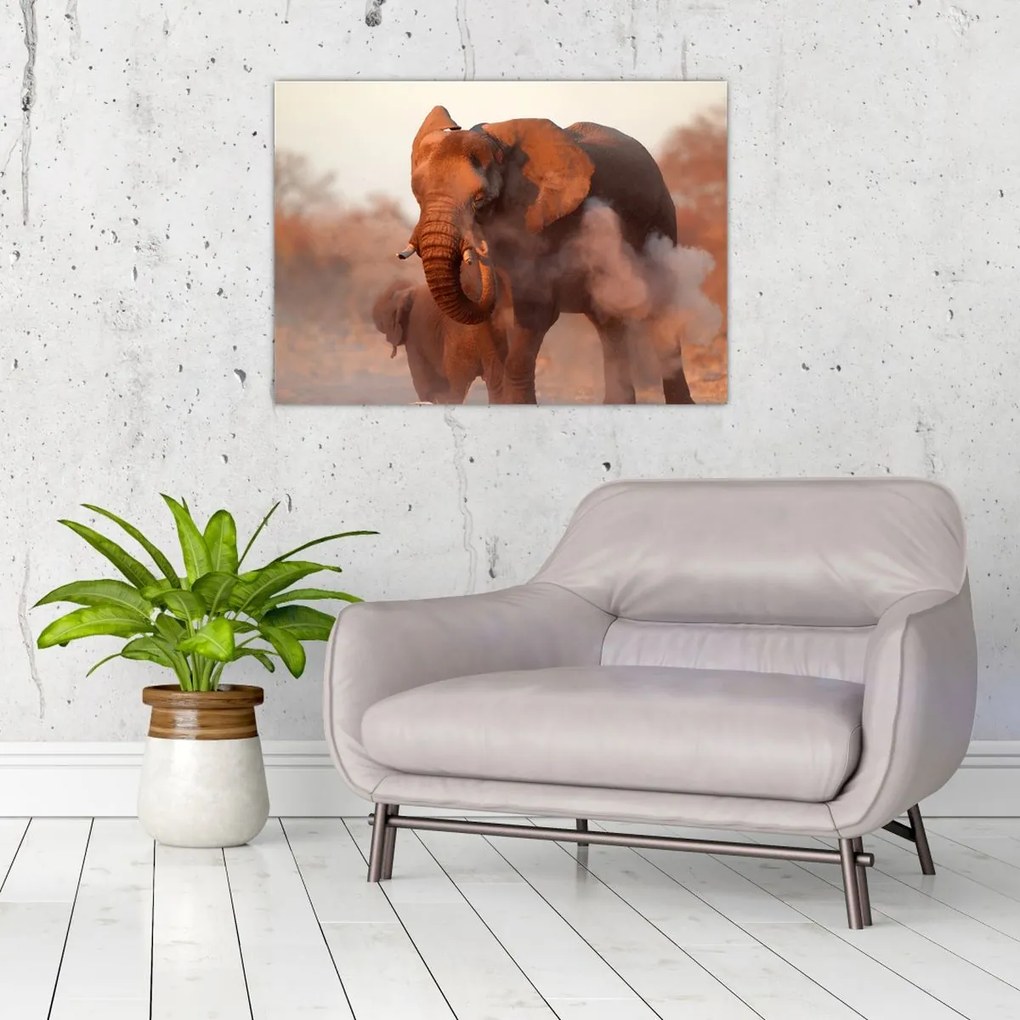 Obraz na szkle - Wielki słoń afrykański (70x50 cm)