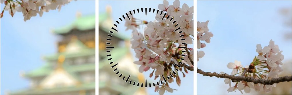Obraz - Sakura (z zegarem) (90x30 cm)