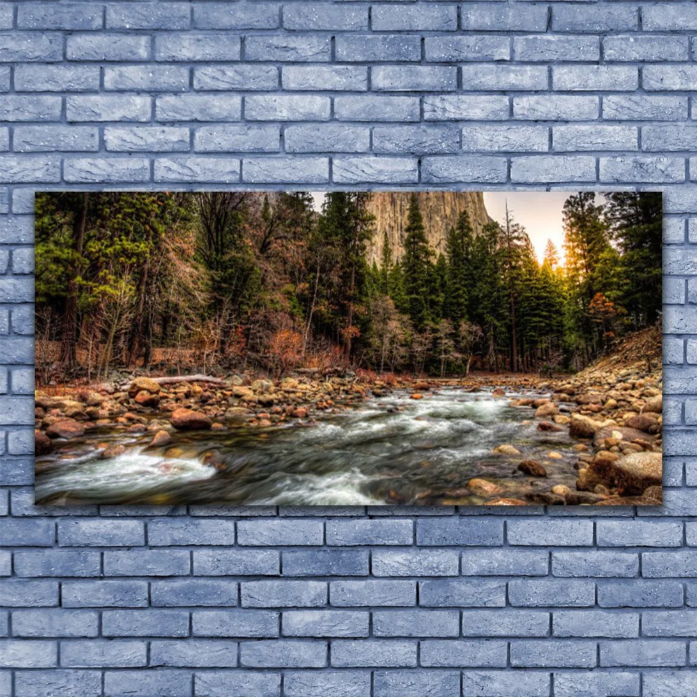 Fotoobraz na płótnie Jezioro w Objęciach Lasu