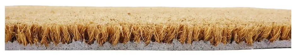 Wycieraczka z włókna kokosowego 60x90 cm Mushrooms – Artsy Doormats