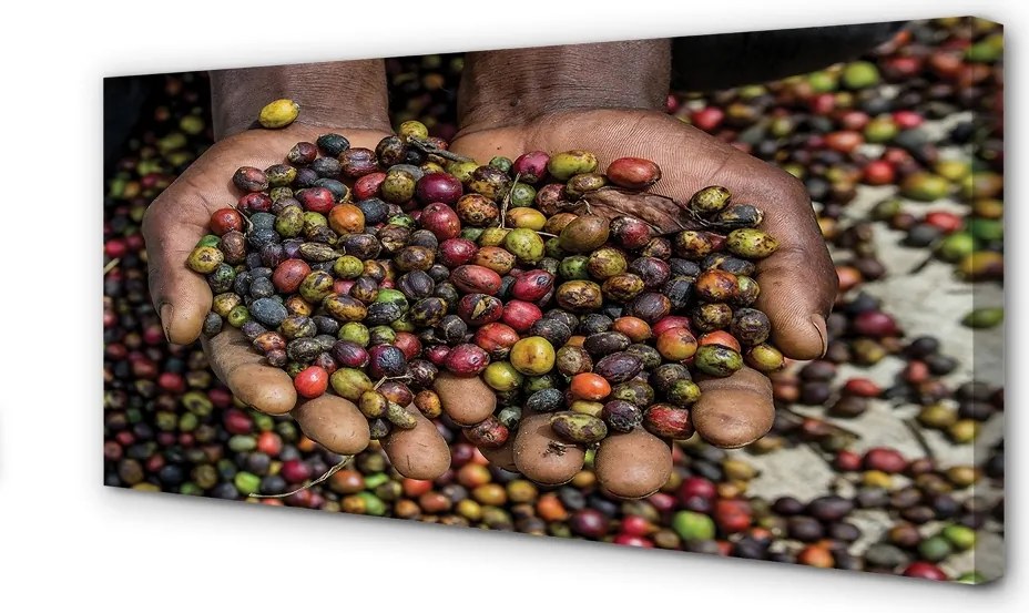 Zdjęcie na płótnie Przyprawy Świata