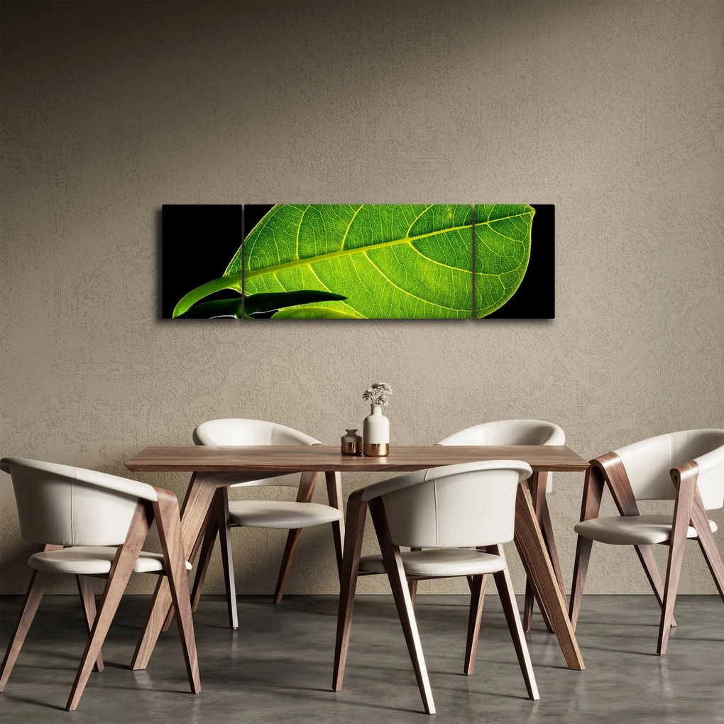 Obraz - zielony liść (170x50 cm)