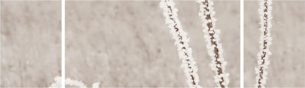 Obraz - Oset w zimie (170x50 cm)
