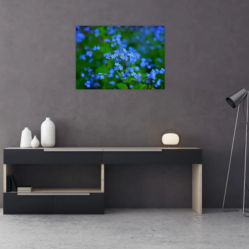 Obraz na szkle - niebieskie kwiaty (70x50 cm)