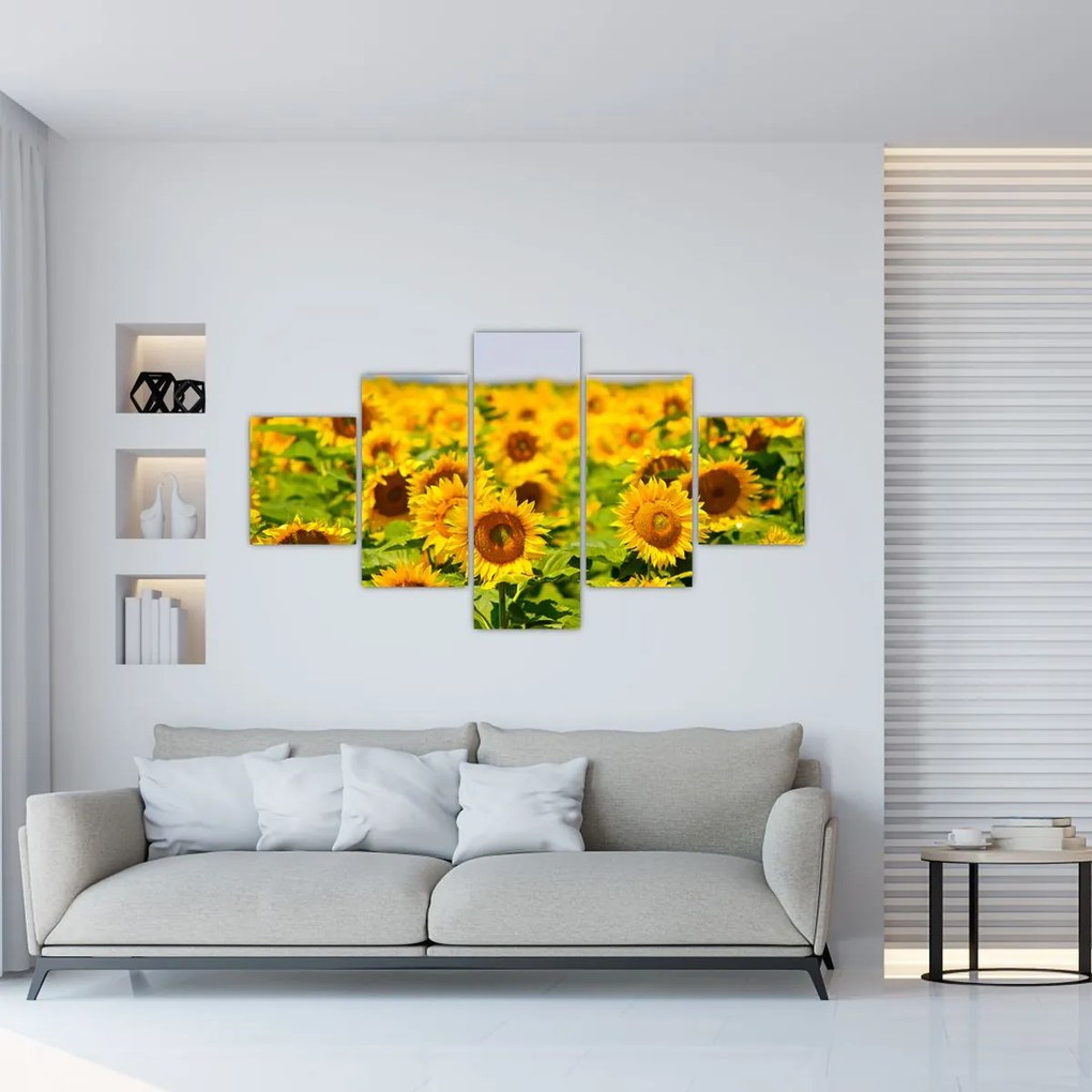 Obraz - Słoneczniki (125x70 cm)