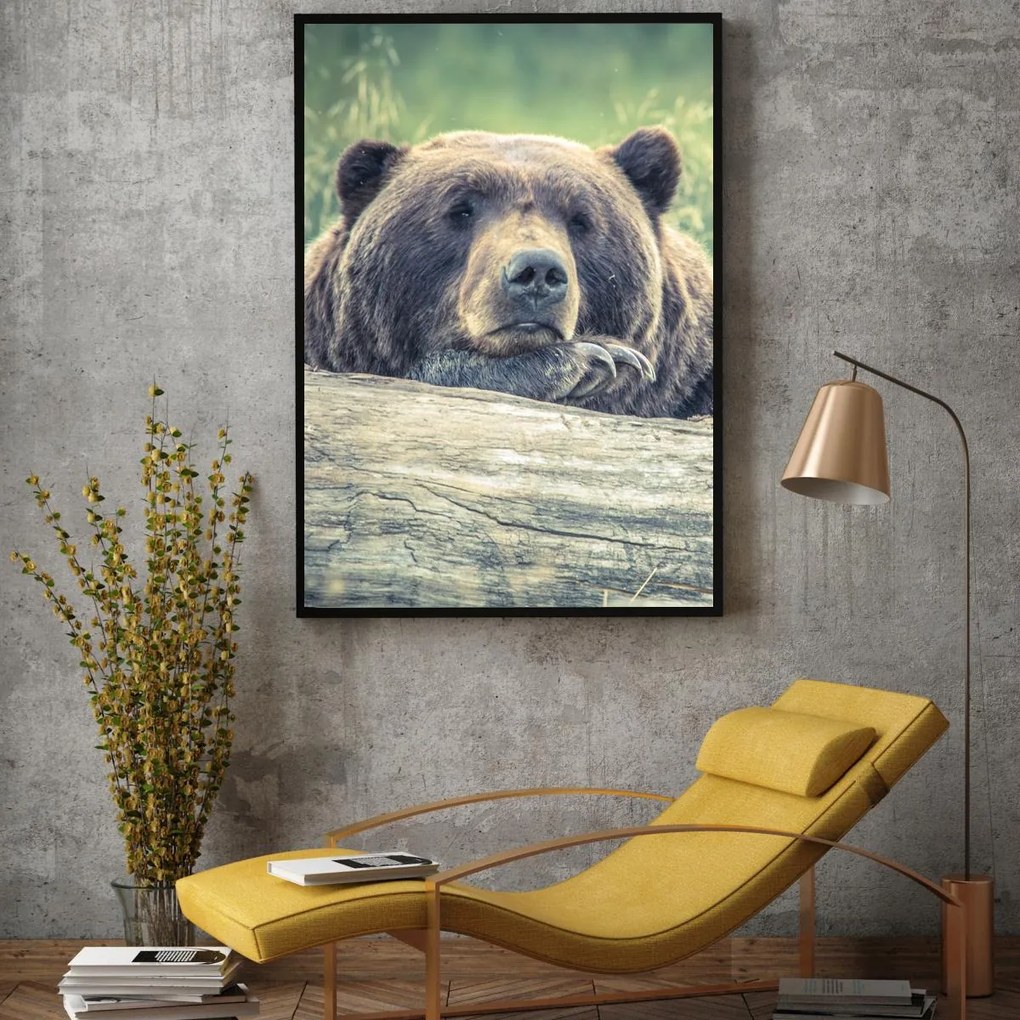 Plakat - Odpoczywający niedźwiedź (A4)