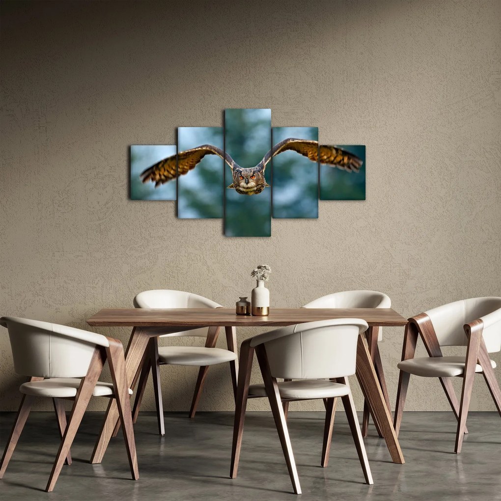 Obraz - Sowa w locie (125x70 cm)