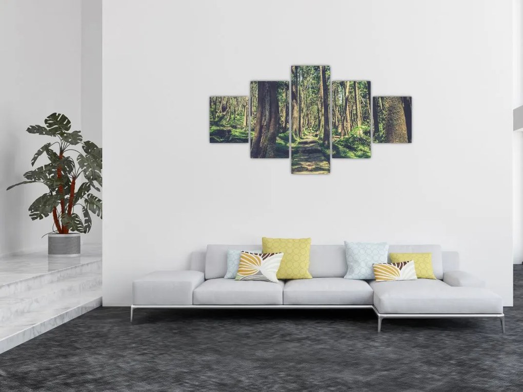 Obraz ścieżki pomiędzy drzewami (125x70 cm)