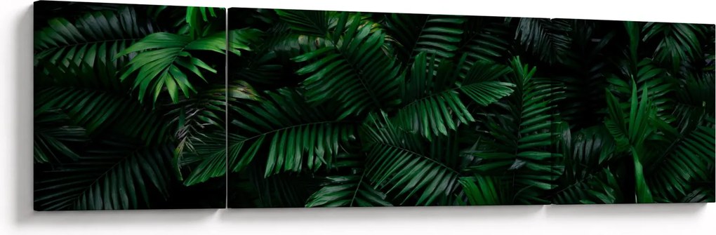 Obraz - Paprocie tropikalne (170x50 cm)