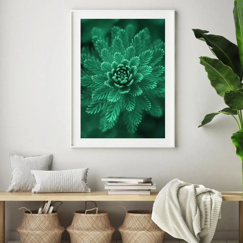 Plakat - Conifer Green (A4)