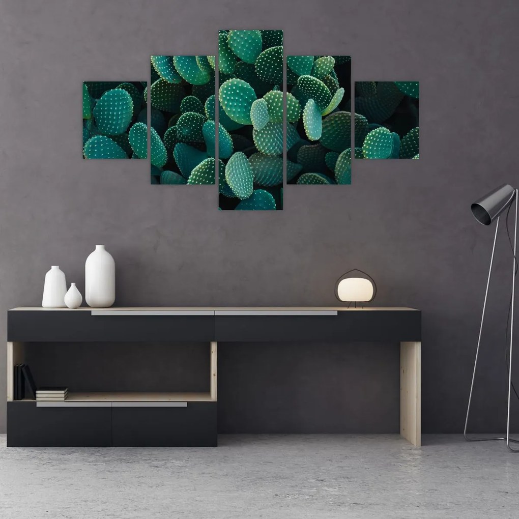 Obraz - Opuncja (125x70 cm)