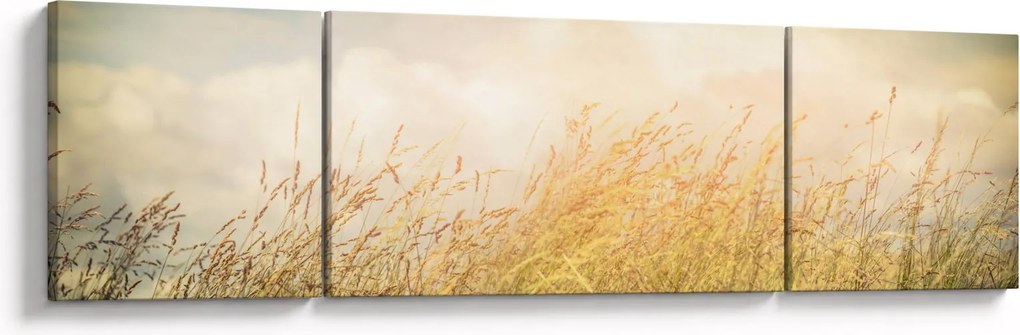 Obraz - Pole jesienią (170x50 cm)
