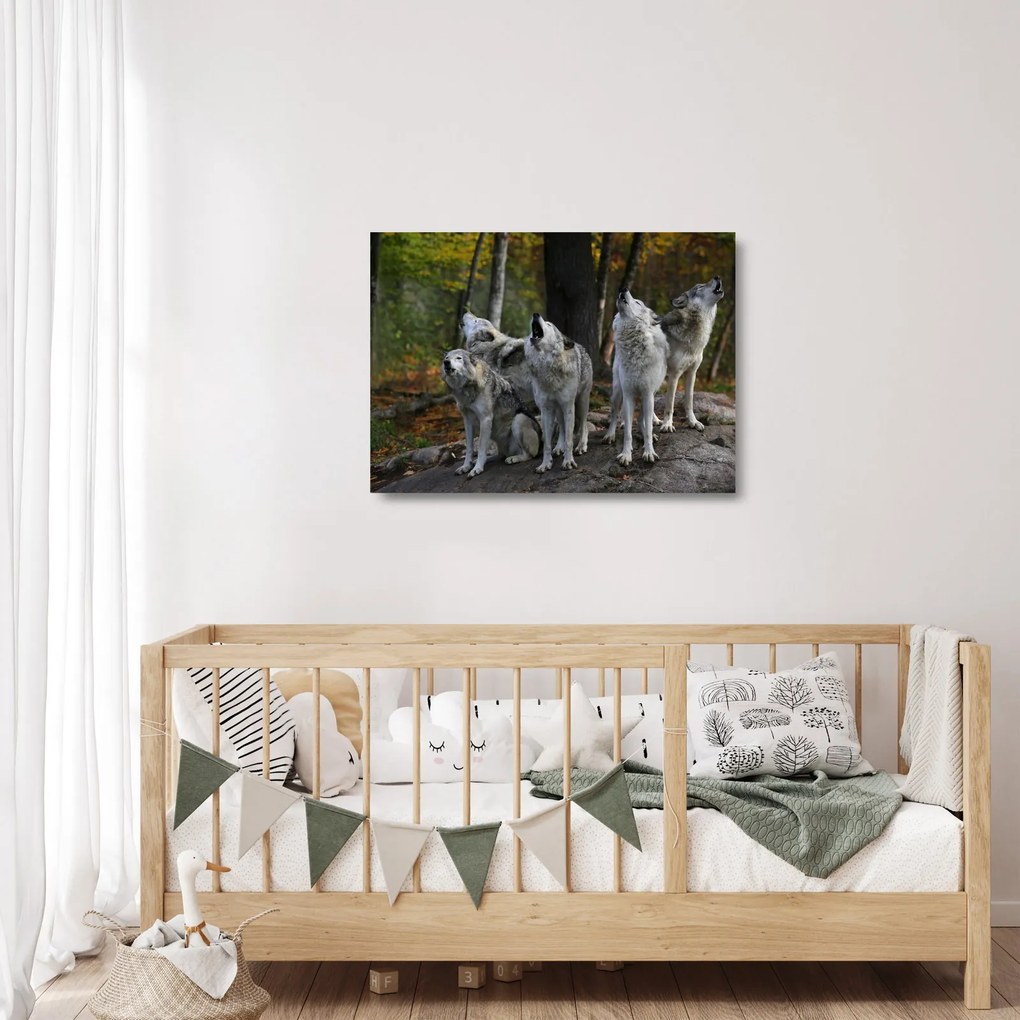 Obraz na szkle - Wilki na skale (70x50 cm)