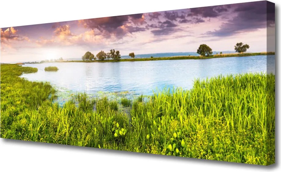 Duży obraz na płótnie Szuwary nad Cichym Jeziorem