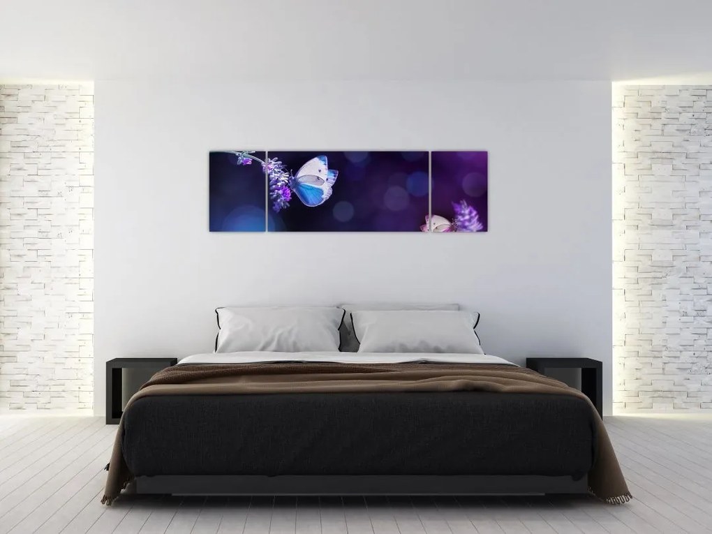 Obraz - Motyle na lawendie (170x50 cm)