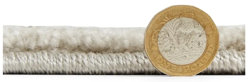 Jasnoszary dywan 200x290 cm Elio Silver – Think Rugs