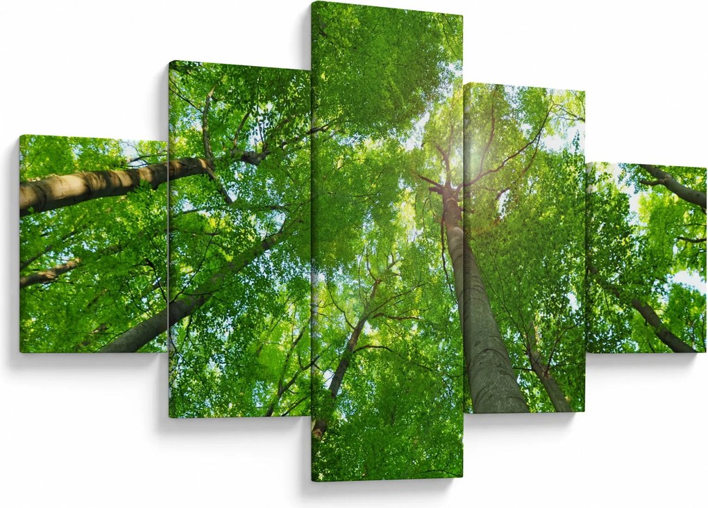 Obraz - Las (125x70 cm)