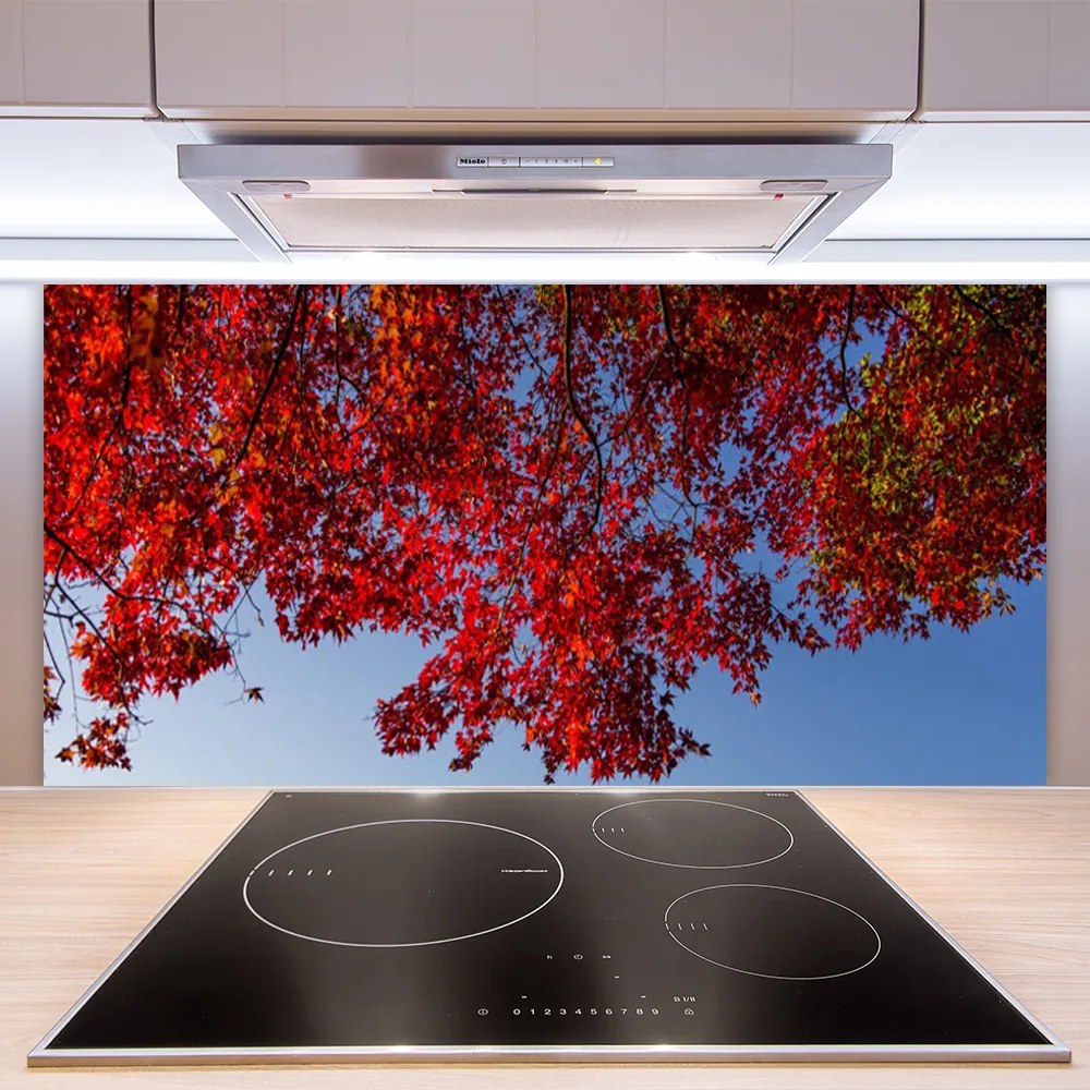 Panel Szklany do Kuchni Rozłożysta Korona Drzewa