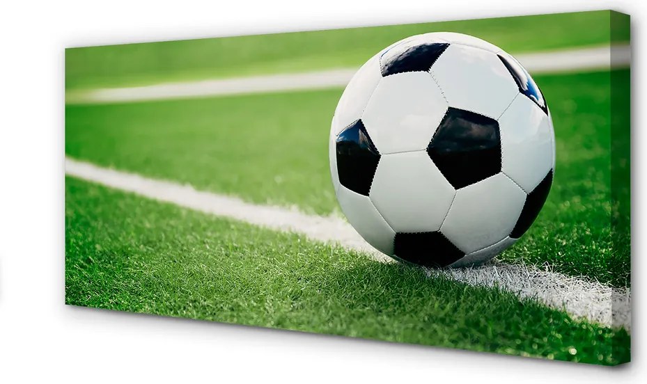 Zdjęcie na płótnie Detal Piłki Na Trawie