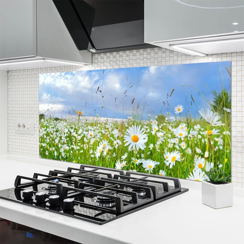 Panel Kuchenny Dywan Białych Stokrotek