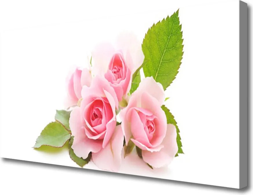 Fotoobraz na płótnie Herbaciane Róże w Ogrodzie