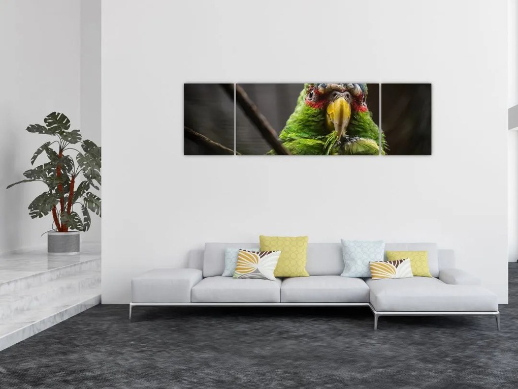 Obraz papugi (170x50 cm)
