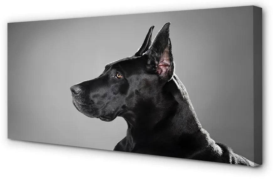 Duży obraz na płótnie Czarny Pies