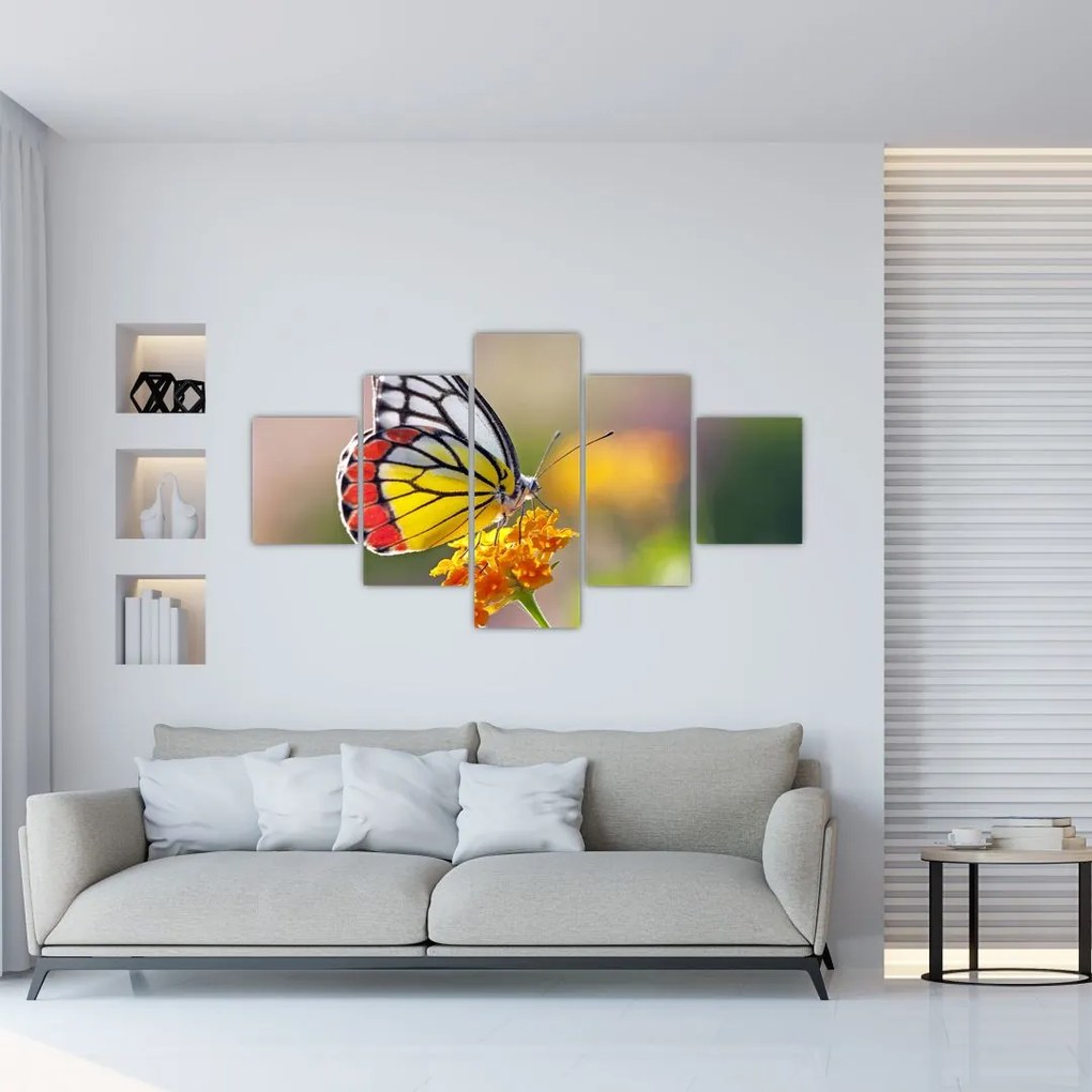 Obraz motyla na kwiatku (125x70 cm)