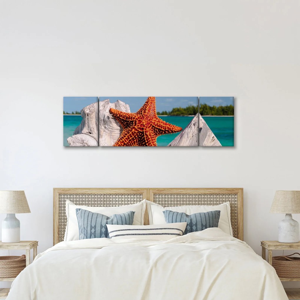Obraz rozgwiazdy (170x50 cm)