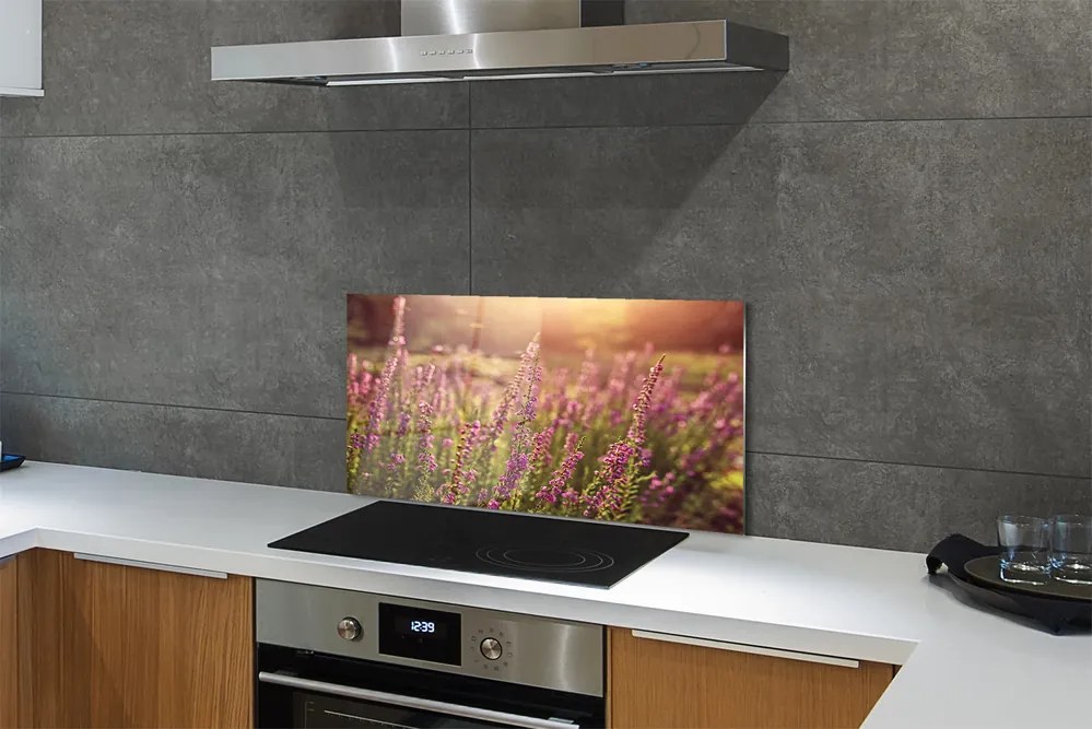 Szkło do Kuchni na Ścianę Rozległe Pole Wrzosów