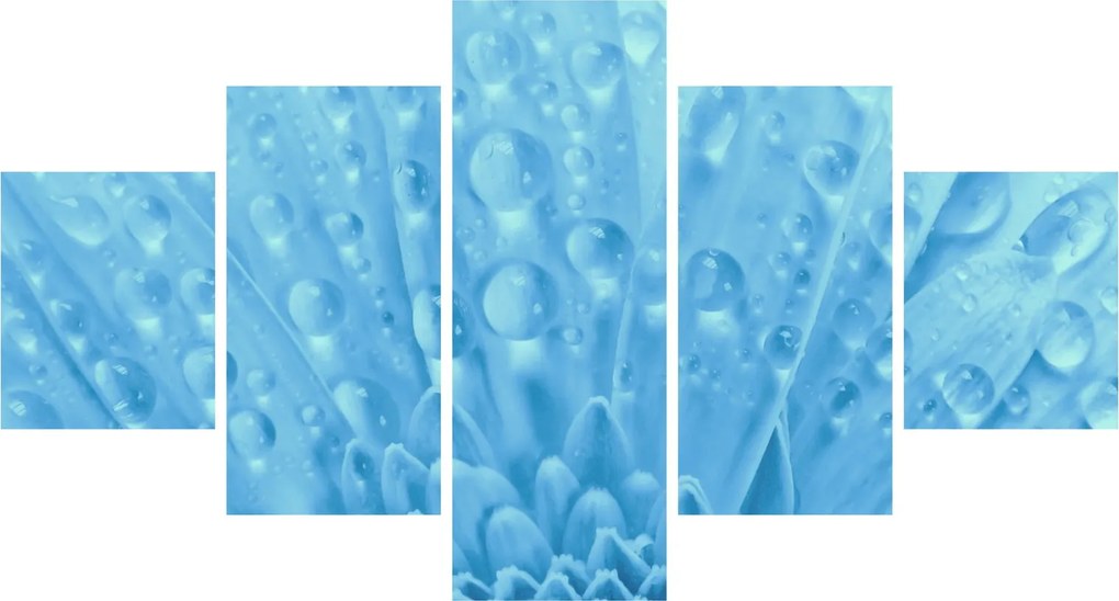 Obraz - Ujęcie makro kwiatu (125x70 cm)