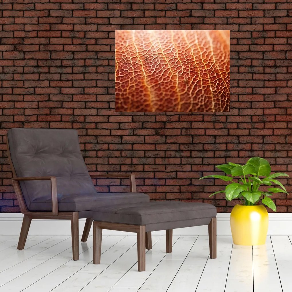 Obraz na szkle - Szczegóły tekstury (70x50 cm)