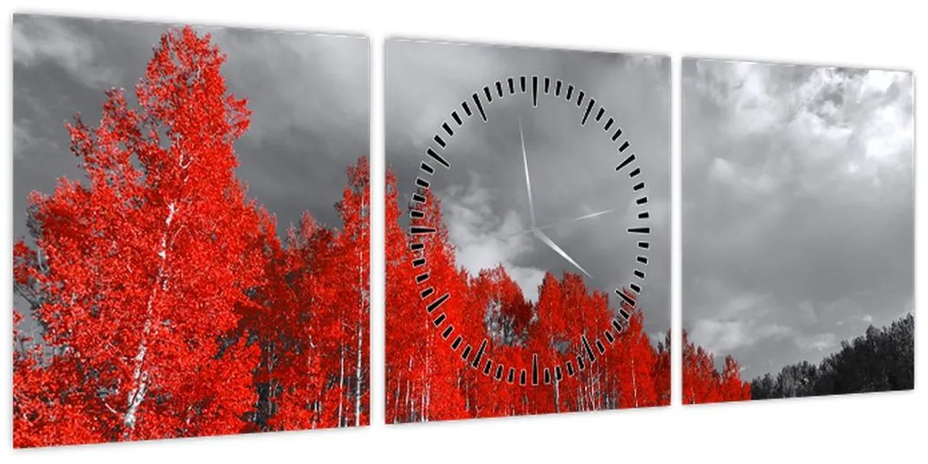 Obraz - Drzewa w kolorze jesieni (z zegarem) (90x30 cm)