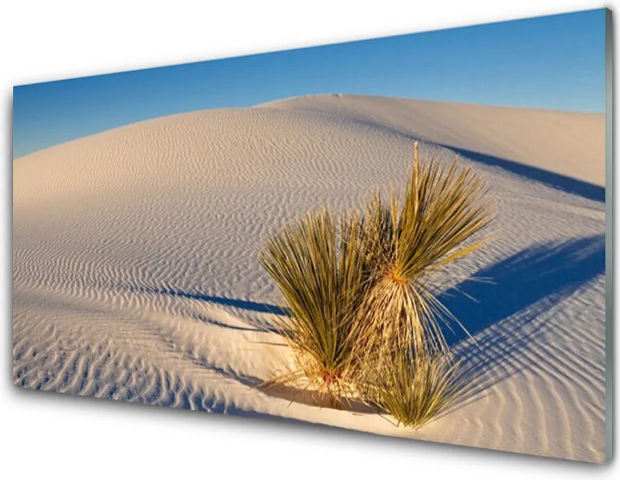 Panel Kuchenny Piaszczysty Pejzaż Pustynny